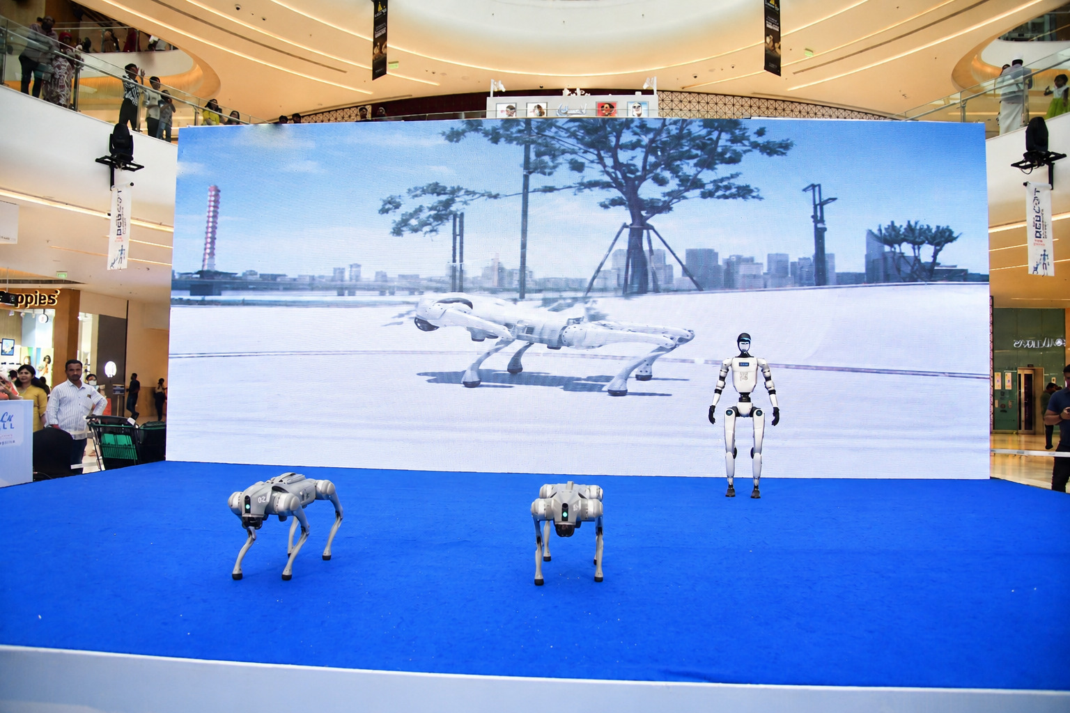 Humanoids & Robotic Dogs in Action at WCTM